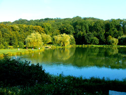 Dombes - Le Lac Neyton à Dagneux